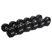 HKM-272019 Heavy Duty 20kg Iron Dumbbells for Home Fitness and Strength Training