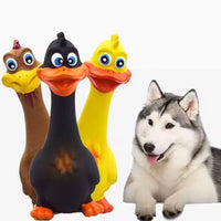 HKM-2723389 Interactive 3-Piece Eco-Friendly Latex Squeaky Chicken Chew Toys for Dogs