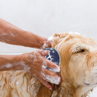HKM-2727997 3-in-1 Dog Shampoo Brush with Massage Points for Effortless Bathing and Grooming