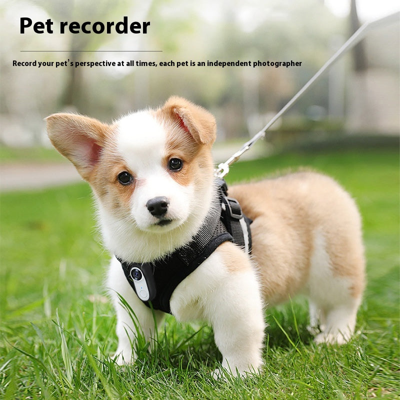 HKM-2729789 Mini HD Pet Thumb Camera with Magnetic Design, 1080P Video Recording, and Photo Capture