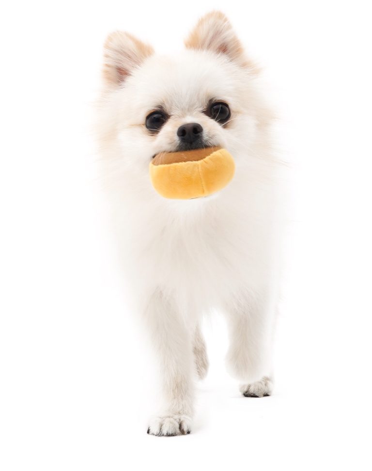 HKM-2730173 Tibetan Mushroom Plush Dog Vocal Toy Set - Simple and Stylish Design