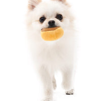 HKM-2730173 Tibetan Mushroom Plush Dog Vocal Toy Set - Simple and Stylish Design