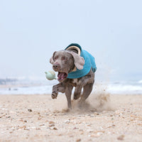 HKM-2731069 Warm and Stain-Resistant Dog Vest for Medium to Large Dogs - Available in Rose Red, Light Blue, and Gray