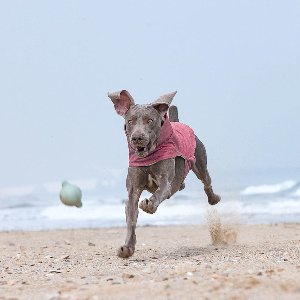 HKM-2731069 Warm and Stain-Resistant Dog Vest for Medium to Large Dogs - Available in Rose Red, Light Blue, and Gray