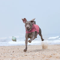 HKM-2731069 Warm and Stain-Resistant Dog Vest for Medium to Large Dogs - Available in Rose Red, Light Blue, and Gray