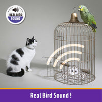 HKM-2739517 Interactive Rechargeable Automatic Owl Cat Toy with Catnip - Flapping Wings, Three Modes for Engaging Play