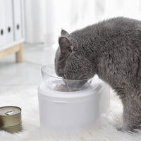 HKM-2742205 Transparent Double Bowl Pet Feeding Station - Oblique Mouth Design, White Resin