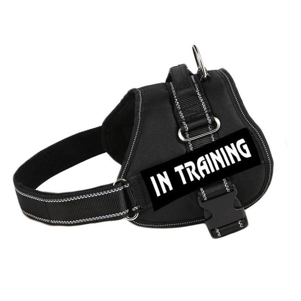HKM-274323 Explosion-Proof Dog Chest Strap - Cloth Material, Multiple Sizes & Colors Available
