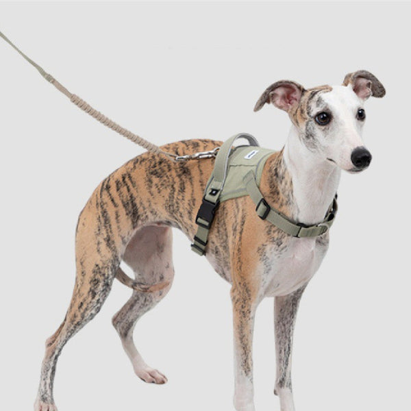 HKM-2756797 Fashionable Pet Vest with Adjustable Chest and Back Leash, Available in Multiple Colors