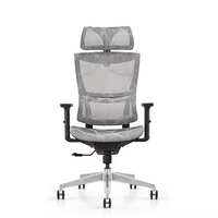 HKM-276051 Ergonomic 3D Mesh Office Chair with Adjustable Headrest and Armrests for Home Office