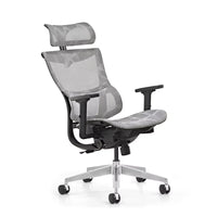 HKM-276051 Ergonomic 3D Mesh Office Chair with Adjustable Headrest and Armrests for Home Office