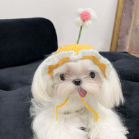 HKM-2760765 Knit Cat and Dog Hats with Cute Cartoon Design for Small Pets - Warm Costume Accessories