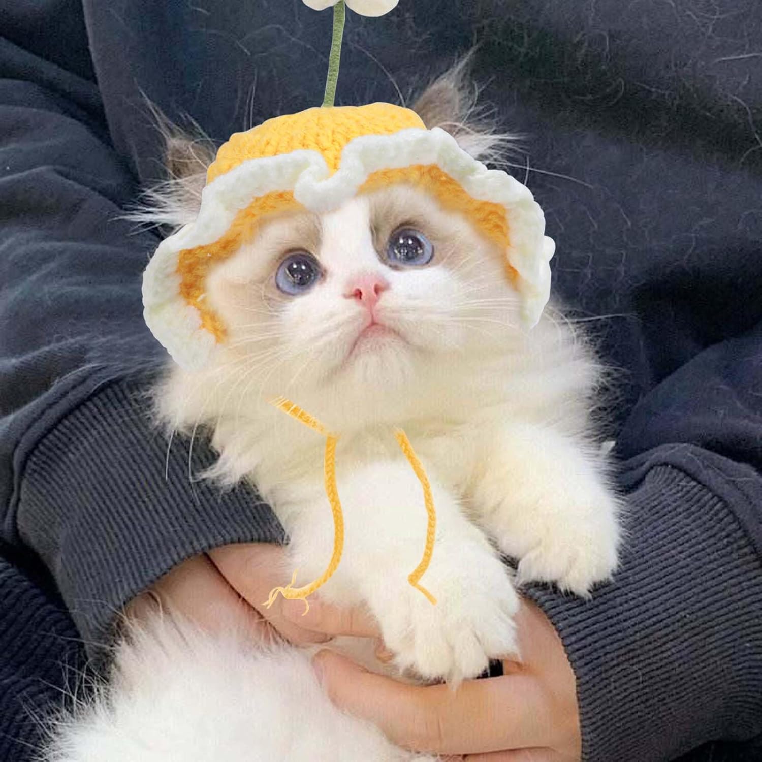 HKM-2760765 Knit Cat and Dog Hats with Cute Cartoon Design for Small Pets - Warm Costume Accessories