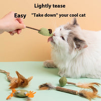 HKM-2761917 Catnip Polygonum Multiflorum Nibbling Toy Assortment for Pets - Various Styles Available