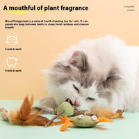HKM-2761917 Catnip Polygonum Multiflorum Nibbling Toy Assortment for Pets - Various Styles Available