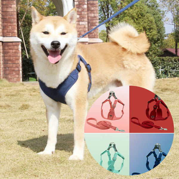 HKM-2762557 Suede Pet Chest Harness and Leash Set for Dogs in Various Colors