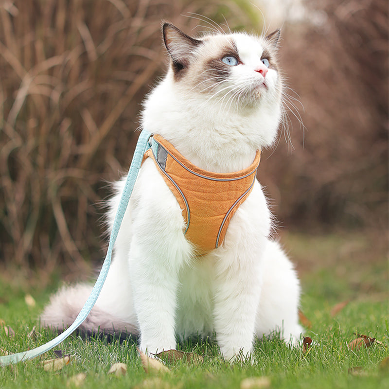 HKM-2763069 Reflective Color-Blocking Traction Belt with Breathable Material for Cats