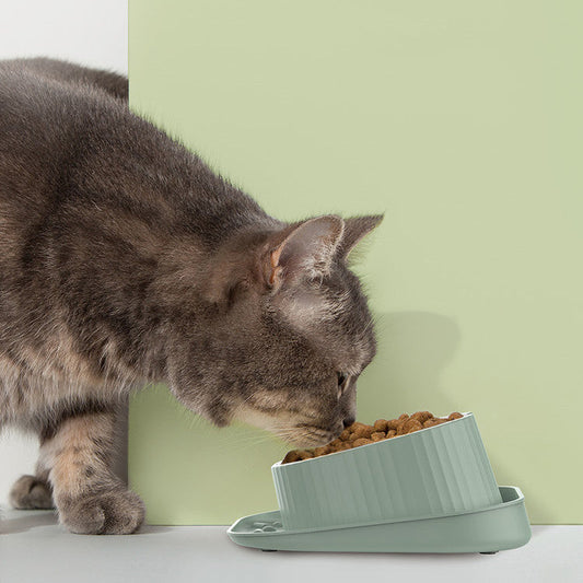 HKM-2763453 Wide Mouth Ceramic Pet Bowl with Neck Protection in Various Colors