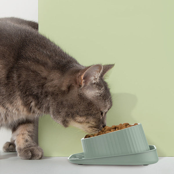 HKM-2763453 Wide Mouth Ceramic Pet Bowl with Neck Protection in Various Colors