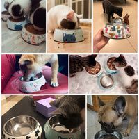 HKM-2766525 Stainless Steel Dog and Cat Bowls in Various Sizes and Fun Designs