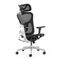 HKM-277843 High Back Ergonomic Office Chair with Adjustable Features and Throne Design
