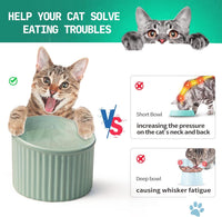 HKM-2782013 Elevated Ceramic Cat Bowls - Tilted, Anti-Vomit Design for Comfortable Feeding