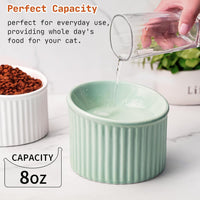 HKM-2782013 Elevated Ceramic Cat Bowls - Tilted, Anti-Vomit Design for Comfortable Feeding