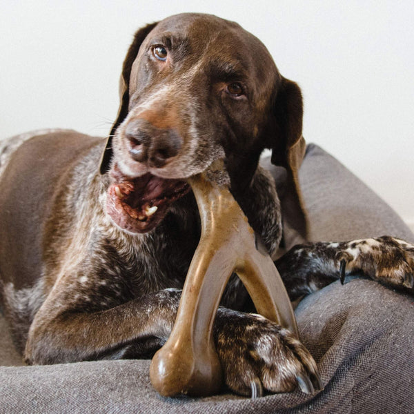 HKM-2783165 Durable Nylon Dog Chewing Stick for Molar Health, Dark Brown Color, Sizes 170mm & 210mm