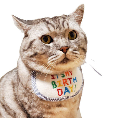 HKM-2784701 Reversible Triangle Scarf Bib for Cats - Pink and Blue Birthday Design, Polyester Material, Available in S and L