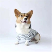HKM-2785597 Striped Cotton Sweater for Pets - Cozy and Stylish Pet Clothing