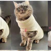 HKM-2787901 Casual Two-Legged Winter Clothing for Hairless Cats - Polyester Design