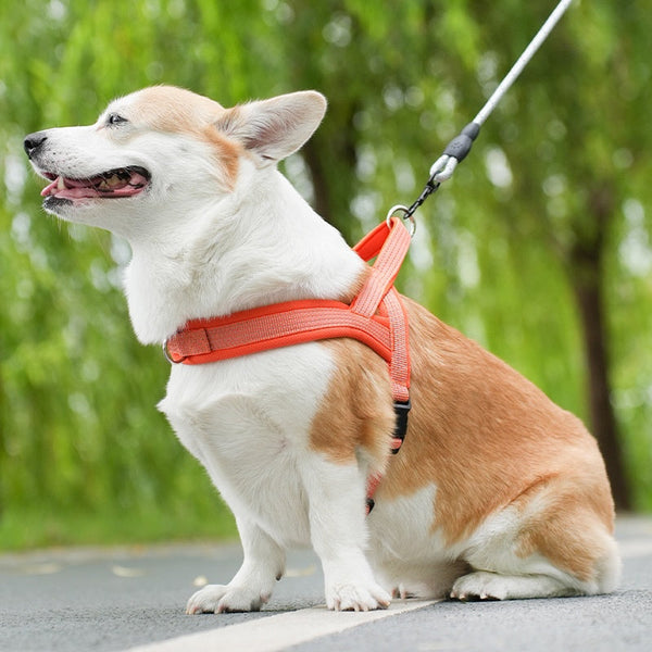 HKM-2789565 Reflective Chest Strap with Traction Rope for Small to Large Dogs in Black, Green, Orange, Dark Blue
