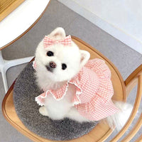 HKM-2790845 Summer Pink Dog Vest with Strap Lace Skirt and Hair Clip