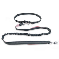 HKM-2795837 Durable Polyester Dog Running Leash with Adjustable Traction Belt