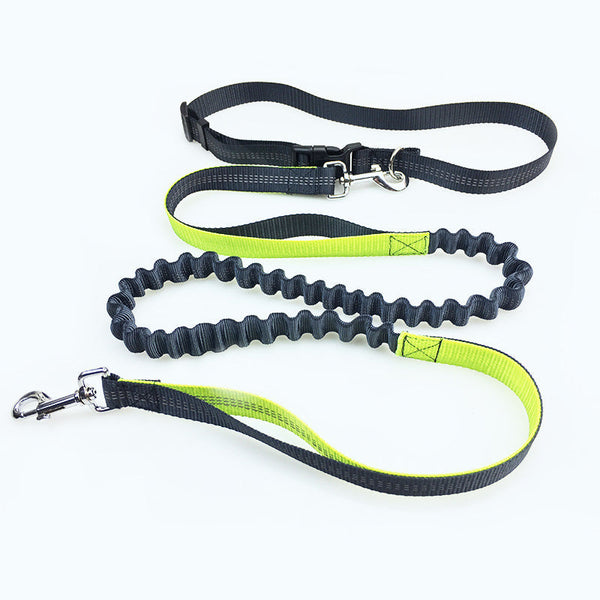 HKM-2795837 Durable Polyester Dog Running Leash with Adjustable Traction Belt