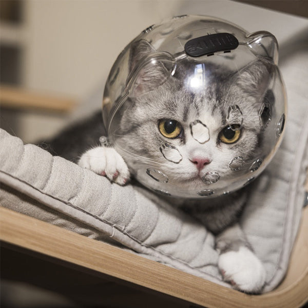 HKM-2798013 Cat Head Cover with Booties for Anti-Bite and Anti-Licking Protection