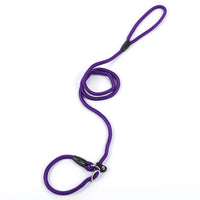 HKM-2801597 Nylon Dog Leash for Small to Large Dogs - 150cm Length, Various Diameter Options