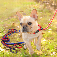 HKM-2801597 Nylon Dog Leash for Small to Large Dogs - 150cm Length, Various Diameter Options