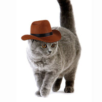 HKM-2805053 Adjustable Outdoor Cowboy Hat for Pets - Fun Headgear for Dogs and Cats - Great for Photos and Cosplay Accessories