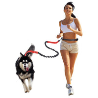 HKM-2807357 Elastic Multi-Purpose Reflective Pet Running Traction Belt - Available in Multiple Colors