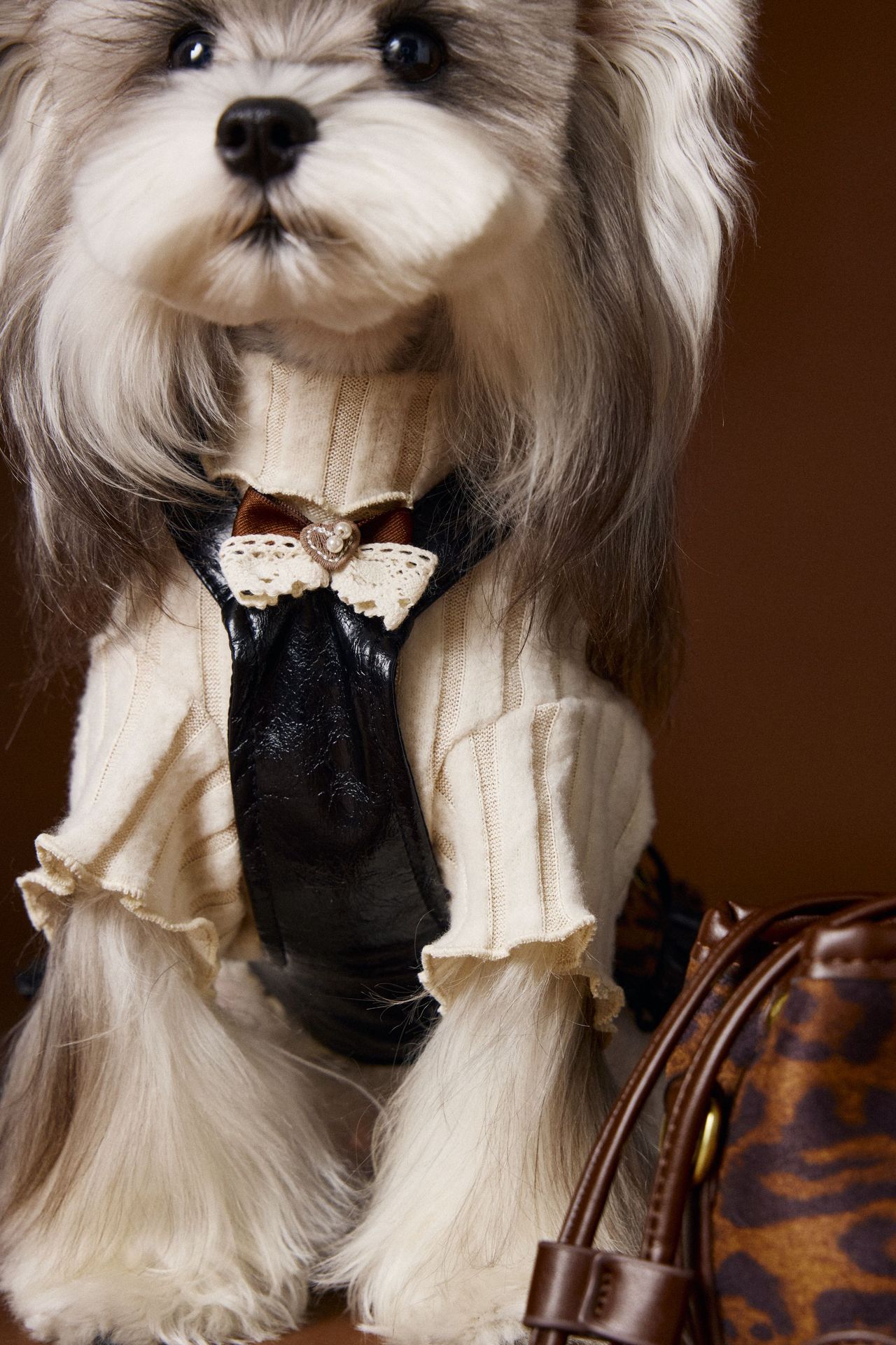 HKM-2812093 Casual Lace Bow Bottoming Shirt for Small Dogs - Coffee and Beige, Multiple Sizes Available