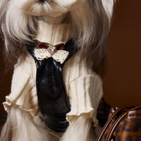 HKM-2812093 Casual Lace Bow Bottoming Shirt for Small Dogs - Coffee and Beige, Multiple Sizes Available