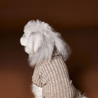 HKM-2812093 Casual Lace Bow Bottoming Shirt for Small Dogs - Coffee and Beige, Multiple Sizes Available