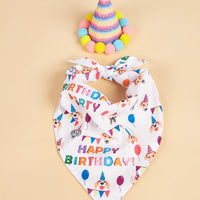 HKM-2812349 Creative Printing Dog Birthday Hat and Drool Towel Accessories Set - Triangular Binder with Cartoon Patterns in Blue and Pink
