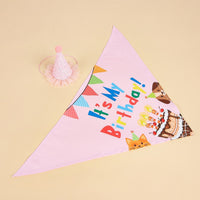 HKM-2812349 Creative Printing Dog Birthday Hat and Drool Towel Accessories Set - Triangular Binder with Cartoon Patterns in Blue and Pink
