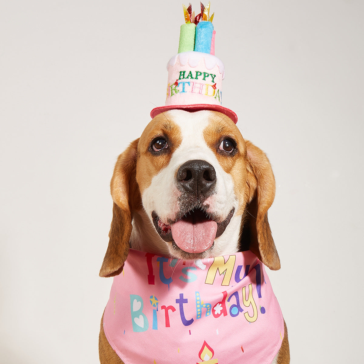 HKM-2812349 Creative Printing Dog Birthday Hat and Drool Towel Accessories Set - Triangular Binder with Cartoon Patterns in Blue and Pink
