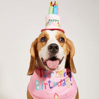 HKM-2812349 Creative Printing Dog Birthday Hat and Drool Towel Accessories Set - Triangular Binder with Cartoon Patterns in Blue and Pink