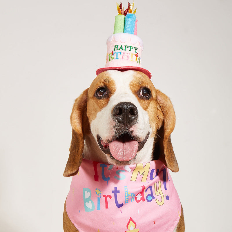 HKM-2812349 Creative Printing Dog Birthday Hat and Drool Towel Accessories Set - Triangular Binder with Cartoon Patterns in Blue and Pink