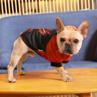 HKM-2815677 Casual Knitted Velvet Sweater for Dogs - Tiger Head Bullfighting Suit in Black
