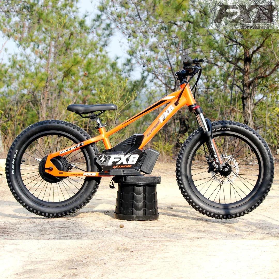 HKM-281619 36V 100Ah Electric City Bicycle with 800W Rear Hub Motor, Aluminum Alloy Frame, 3-Speed Gears, Hydraulic Disc Brake, Hidden Lithium Battery